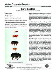 publication[removed]Revised 2005 Bark Beetles Eric R. Day, Manager, Insect Identification Lab, Virginia Tech