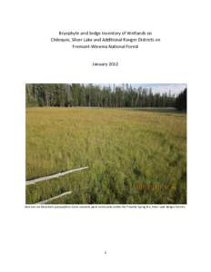 Bryophyte and Sedge Inventory of Wetlands on Chiloquin, Silver Lake and Additional Ranger Districts on Fremont-Winema National Forest January[removed]East over an Eleocharis quinqueflora-Carex simulata plant community with