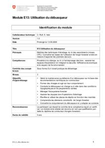 Module E13: Utilisation du débusqueur Identification du module Collaborateur technique C. Rufi, S. Isler