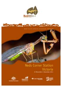 Bush Blitz Species Discovery Program  Neds Corner Station Victoria 22 November–2 December 2011