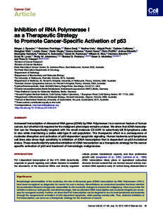 Inhibition of RNA Polymerase I as a Therapeutic Strategy to Promote Cancer-Specific Activation of p53