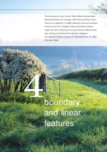 The Boundary and Linear Features Broad Habitat includes linear landscape features such as hedges, walls, banks and lines of trees. There are an estimated 1.8 million kilometres of Linear Landscape Features in the UK. In 