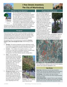 i-Tree Streets Inventory The City of Martinsburg What is i-Tree Streets? The City of Martinsburg worked with the Martinsburg Shade Tree Commission to conduct an i-Tree Streets (“i-Tree”) inventory of trees in