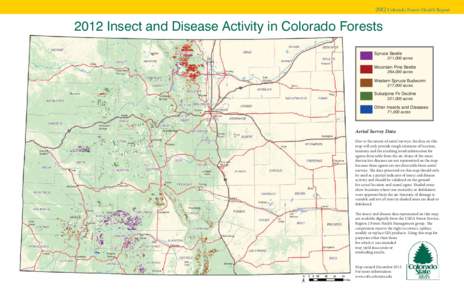 Tree diseases / Archipini / Spruce Budworm / Mountain pine beetle