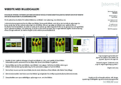 [storm•it] WEBSITE MED BILLEDGALLERI Multimedie Design Ole Storm  ER DU MALER, FOTOGRAF, TATTOVØR ELLER ANDET, MED BEHOV FOR SELV AT KUNNE UDSKIFTE BILLEDER OG INDTASTE DATA PÅ DIT WEBSITE?