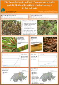 Die Braunfleckenkrankheit (Lecanosticta acicola) und die Rotbandkrankheit (Dothistroma sp.) in der Schweiz Alexander Angst und Roland Engesser  Eidg. Forschungsanstalt für Wald,