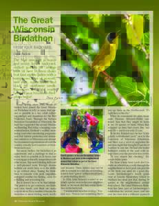 The Great Wisconsin Birdathon FROM YOUR BACKYARD. The May morning is warm and sunny. In the backyard,
