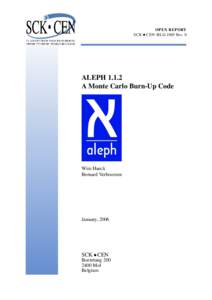 OPEN REPORT SCK • CEN - BLG-1003 Rev. 0 ALEPHA Monte Carlo Burn-Up Code