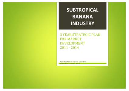 SUBTROPICAL BANANA INDUSTRY 3 YEAR STRATEGIC PLAN FOR MARKET DEVELOPMENT