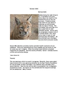 Folsom /  California / Zoo / Gray wolf / Zoology / Biology / Folsom City Zoo Sanctuary
