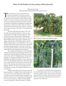 Effects of Cold Weather on Citrus, January 2010 to June 2011 Malcomb D. Pegues Director, Gulf Coast Research and Extension Center T