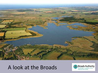 A unique wetland environment for people and wildlife A look at the Broads  Broads Authority –