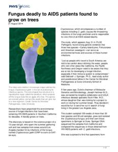 Fungal diseases / Microbiology / Tremellomycetes / Cryptococcus gattii / Cryptococcus / HIV/AIDS / AIDS / Cryptococcus neoformans / Cryptococcosis / Yeasts / Mycology / Biology