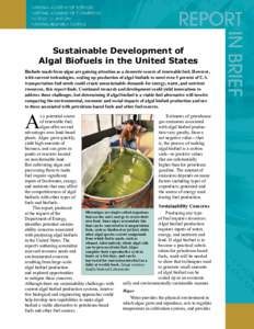 Sustainable Development of Algal Biofuels in the United States Biofuels made from algae are gaining attention as a domestic source of renewable fuel. However, with current technologies, scaling up production of algal bi