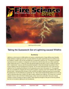 Lightning and fire smoke.  Taking the Guesswork Out of Lightning-caused Wildfire Summary Lightning is a natural source of wildfire ignitions and causes a substantial portion of large wildfires across the globe. Simple pr