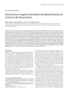 The Journal of Neuroscience, August 26, 2009 • 29(34):10573–10581 • [removed]Behavioral/Systems/Cognitive Natural Scene Categories Revealed in Distributed Patterns of Activity in the Human Brain