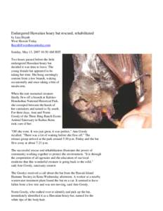 Three Ring Ranch rescues and releases Hawaiian hoary bat