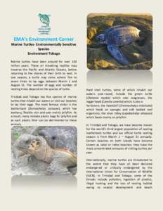 EMA’s Environment Corner Marine Turtles- Environmentally Sensitive Species Environment Tobago Marine turtles have been around for over 150 million years. These air breathing reptiles may