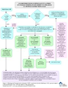 ALGORITHME POUR LE DÉPISTAGE ET LA PRISE EN CHARGE IMMÉDIATE DES BÉBÉS VULNÉRABLES À L’HYPOGLYCÉMIE NÉONATALE NOUVEAU-NÉ  Le bébé