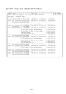 Report G17 - Intra-day Marks and Collateral Collection Report[removed]