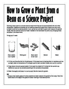 How to Grow a Plant from a Bean as a Science Project Growing a bean plant is a simple science experiment that can be accomplished with very little preparation. Additional variables can be used to expand the experiment. D