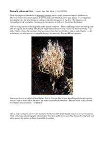 Ramaria ochracea (Bres.) Corner, Ann. Bot. Mem. 1: [removed]These two pages are intended as a temporary measure while a major taxonomic paper is published in Muelleria which will correct aspects of nomenclature and ide