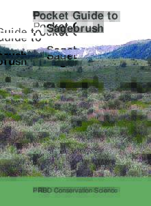 Pocket Guide to Sagebrush PRBO Conservation Science  Generalized map of the primary distribution of sagebrush in the American