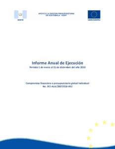 Informe Anual de Ejecución Período 1 de enero al 31 de diciembre del año 2010 Compromiso financiero o presupuestario global individual No. DCI-ALA[removed]