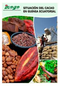 INTRODUCCIÓN En esta publicación, se analiza la situación del cacao en la República de Guinea Ecuatorial desde 1996 aEn las décadas previas al descubrimiento del petróleo en el País, la producción y la ex