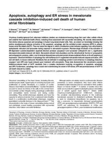 Ghavami-Atrial Fibrobalst Manus-FIg-2.ppt