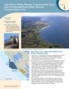 Año Nuevo State Marine Conservation Area and Greyhound Rock State Marine Conservation Area Factsheet