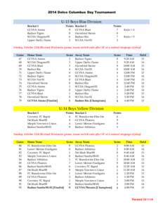 2014 Delco Columbus Day Tournament  U-13 Boys Blue Division Bracket 1 GCVSA Atoms Radnor Tigres