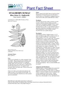 Plant Fact Sheet STAGHORN SUMAC Rhus hirta (L.) Sudworth Plant Symbol = RHHI2 Contributed by: USDA NRCS Northeast Plant Materials Program