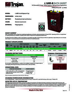 L16RE-B DATA SHEET  for Renewable Energy / Hybrid Systems / Backup Power Applications PREMIUM LINE MODEL: