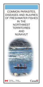 COMMON PARASITES, DISEASES AND INJURIES OF FRESHWATER FISHES IN THE NORTHWEST TERRITORIES