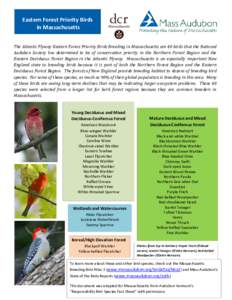 Eastern Forest Priority Birds in Massachusetts The Atlantic Flyway Eastern Forest Priority Birds Breeding in Massachusetts are 40 birds that the National Audubon Society has determined to be of conservation priority in t