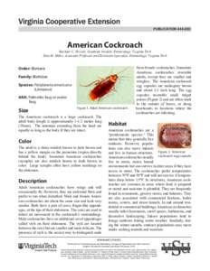 PUBLICATION[removed]American Cockroach Rachael C. Perrott, Graduate Student, Entomology, Virginia Tech Dini M. Miller, Associate Professor and Extension Specialist, Entomology, Virginia Tech