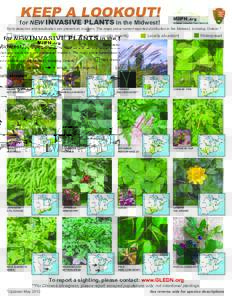 KEEP A LOOKOUT! for NEW INVASIVE PLANTS in the Midwest! Early detection and eradication can prevent an invasion. The maps show current reported distribution in the Midwest, including Ontario.*  Not known