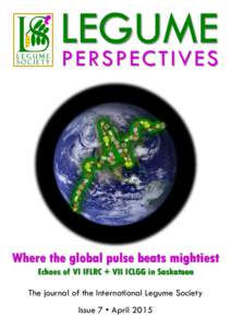 LEGUME PE RS P E C T IV E S Where the global pulse beats mightiest Echoes of VI IFLRC + VII ICLGG in Saskatoon The journal of the International Legume Society