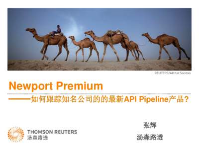 Newport Premium ——如何跟踪知名公司的的最新API Pipeline产品? 张辉 汤森路透  Newport 致力于帮助公司解决如下问题