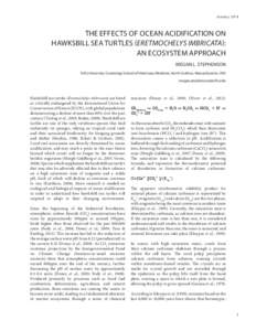 January[removed]THE EFFECTS OF OCEAN ACIDIFICATION ON HAWKSBILL SEA TURTLES (ERETMOCHELYS IMBRICATA): AN ECOSYSTEM APPROACH MEGAN L. STEPHENSON