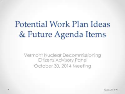Potential Work Plan Ideas & Future Agenda Items Vermont Nuclear Decommissioning Citizens Advisory Panel October 30, 2014 Meeting