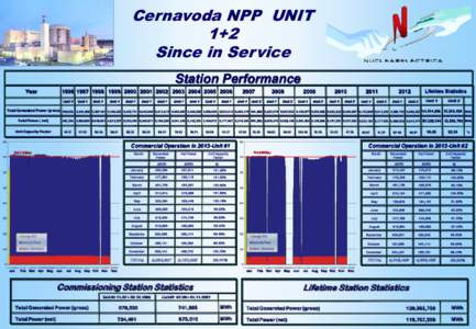 Cernavoda NPP UNIT 1+2 Since in Service Station Performance Year