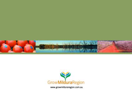 www.growmilduraregion.com.au  Grow Mildura Region PROFILING THE FOOD, WINE AND DRY LAND FARMING INDUSTRIES OF THE MILDURA REGION — 2005