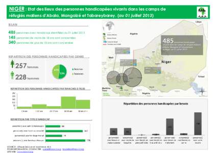 NIGER : Etat des lieux des personnes handicapées vivants dans les camps de réfugiés maliens d’Abala, Mangaïzé et Tabareybarey. (au 01 juillet[removed]BILAN .