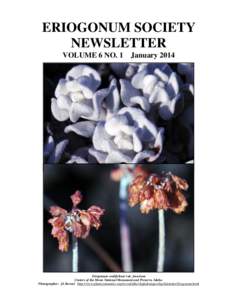 ERIOGONUM SOCIETY NEWSLETTER VOLUME 6 NO. 1 January 2014