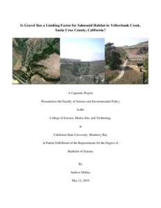 Is Gravel Size a Limiting Factor for Salmonid Habitat in Yellowbank Creek, Santa Cruz County, California? A Capstone Project Presented to the Faculty of Science and Environmental Policy in the