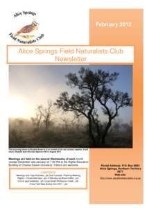 February[removed]Alice Springs Field Naturalists Club Newsletter  This stunning photo by Rosalie Breen is is to remind us of cool, wintery weather. It will
