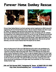 Forever Home Donkey Rescue  Forever Home Donkey Rescue is a private sanctuary and not registered as a 501c3 non-profit organization with the Internal Revenue Service. We are located in Benson, AZ, which is east of Tucson