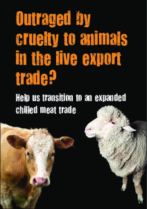 Outraged by cruelty to animals in the live export trade? Help us transition to an expanded chilled meat trade